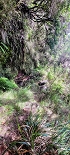 Plants: image 78 Of 208 Thumb